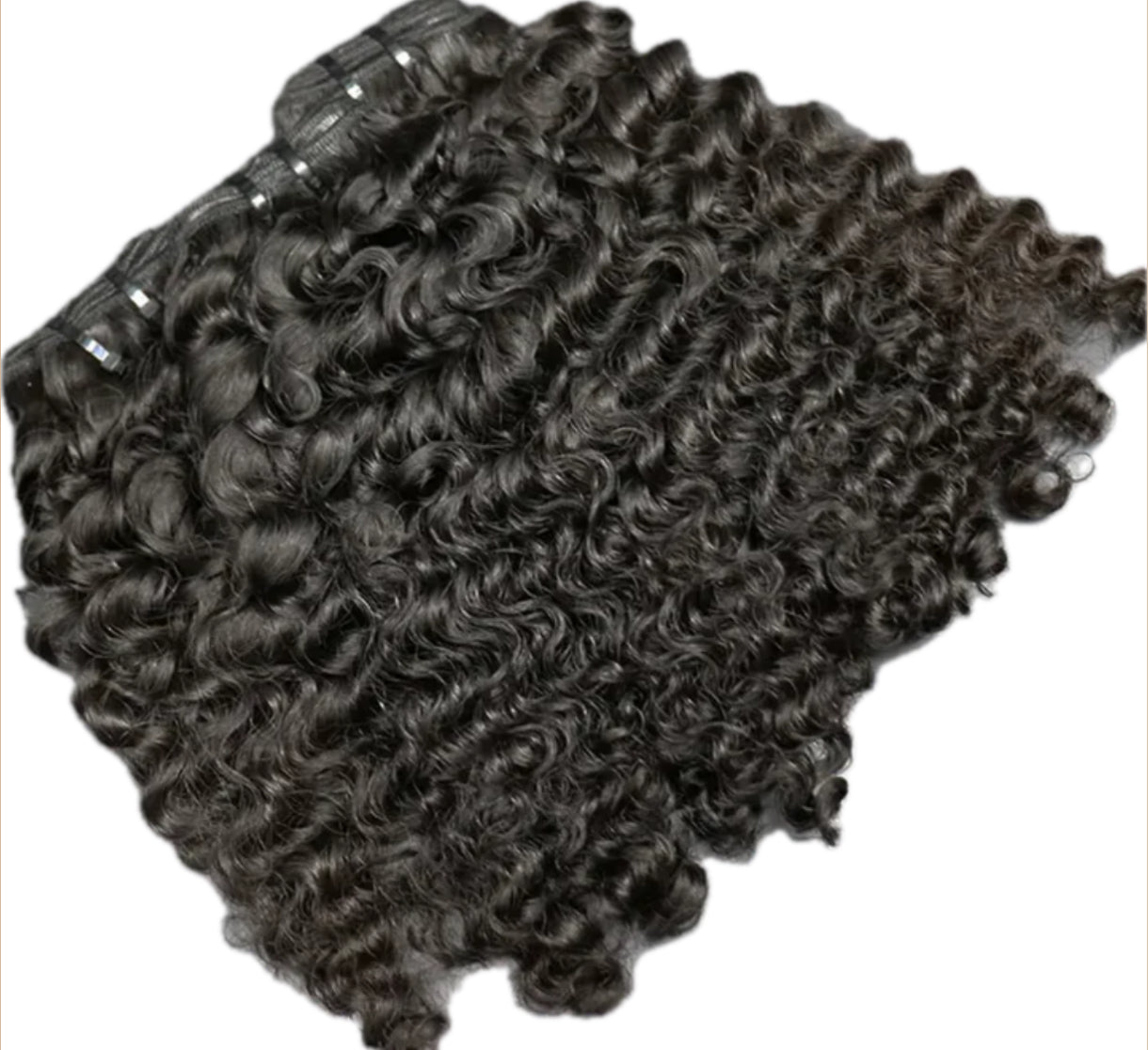 Burmese Curly